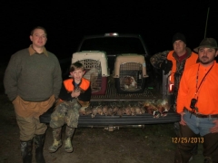 Quail Hunt with Guide and Dog Service