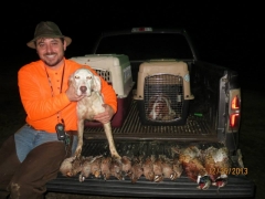 Quail Hunt Mississippi with Guide and Dog Service