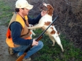 Professionally Trained Bird Dog Mississippi