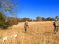 Quail Hunt Mississippi with Guide and Dogs