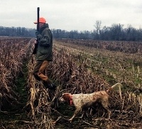 Quail Hunting Mississippi with Dog Service