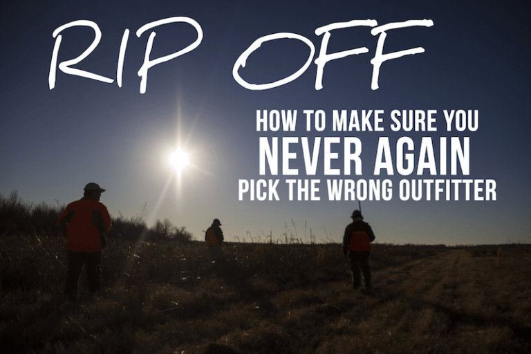 Guided Quail Hunt: How Never To Get Ripped Off Again
