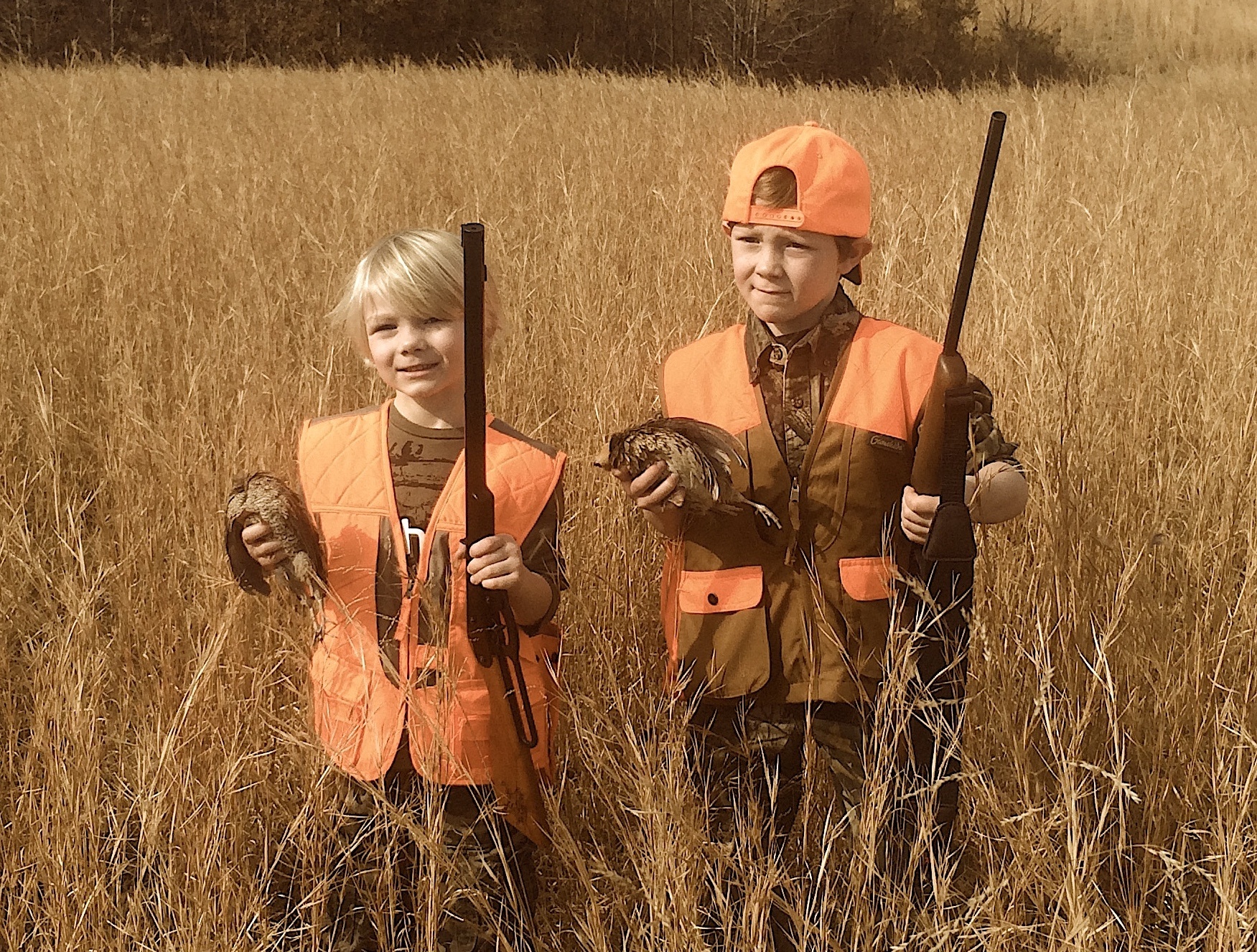 Family Friendly Guided Quail Hunt Mississippi